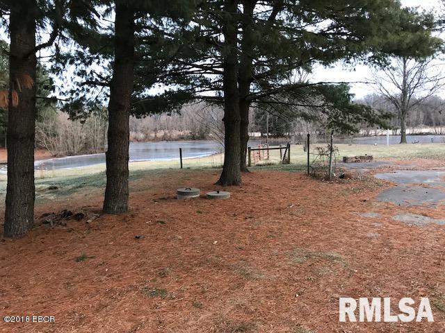 21871 Carlyle Road Thompsonville, IL 62890 - Photo 2 of 28