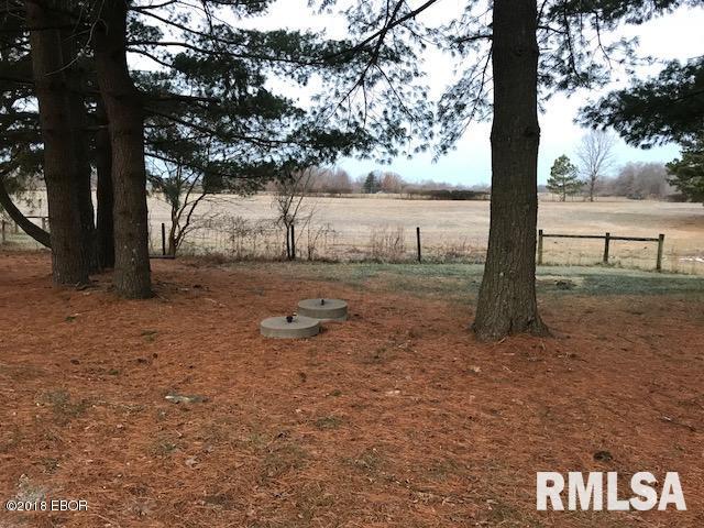 21871 Carlyle Road Thompsonville, IL 62890 - Photo 6 of 28