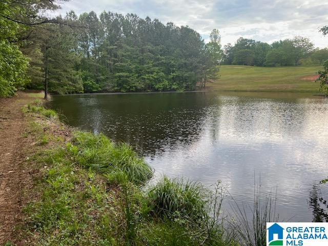 7307 County Road 31 Lineville, AL 36266 - Photo 6 of 30