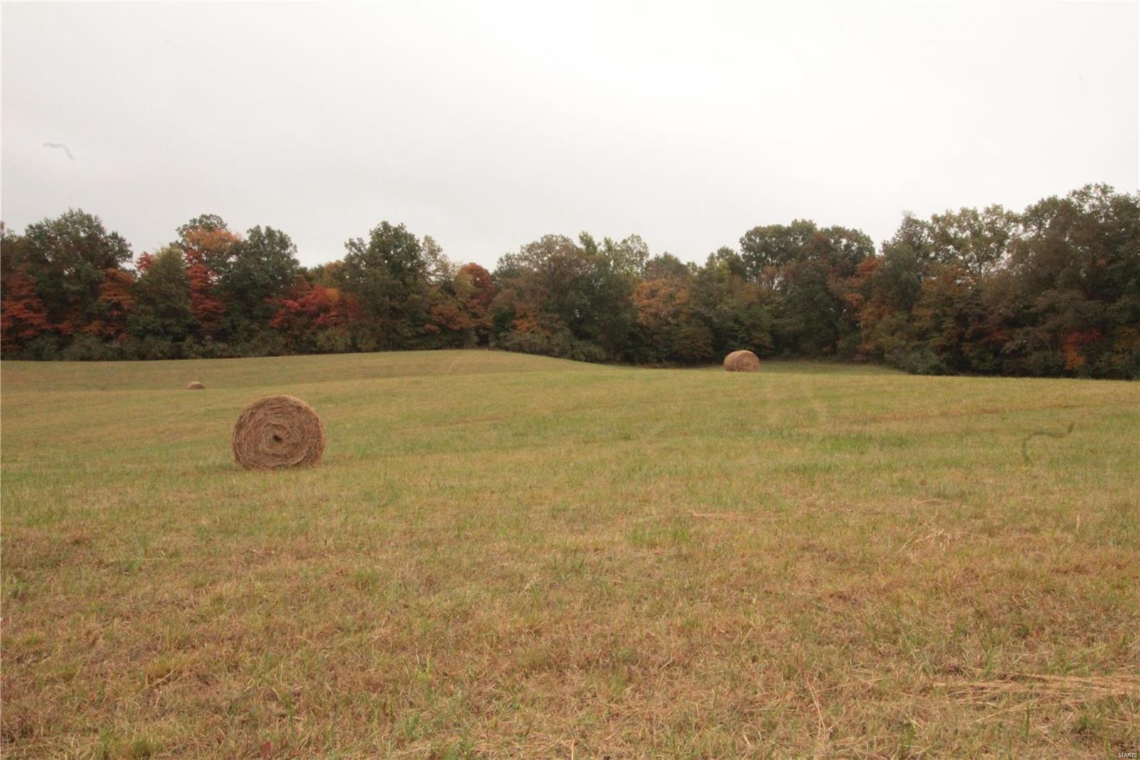 0 Paulton Road Pittsburg, IL 62974 - Photo 11 of 17 Gallery Image 11