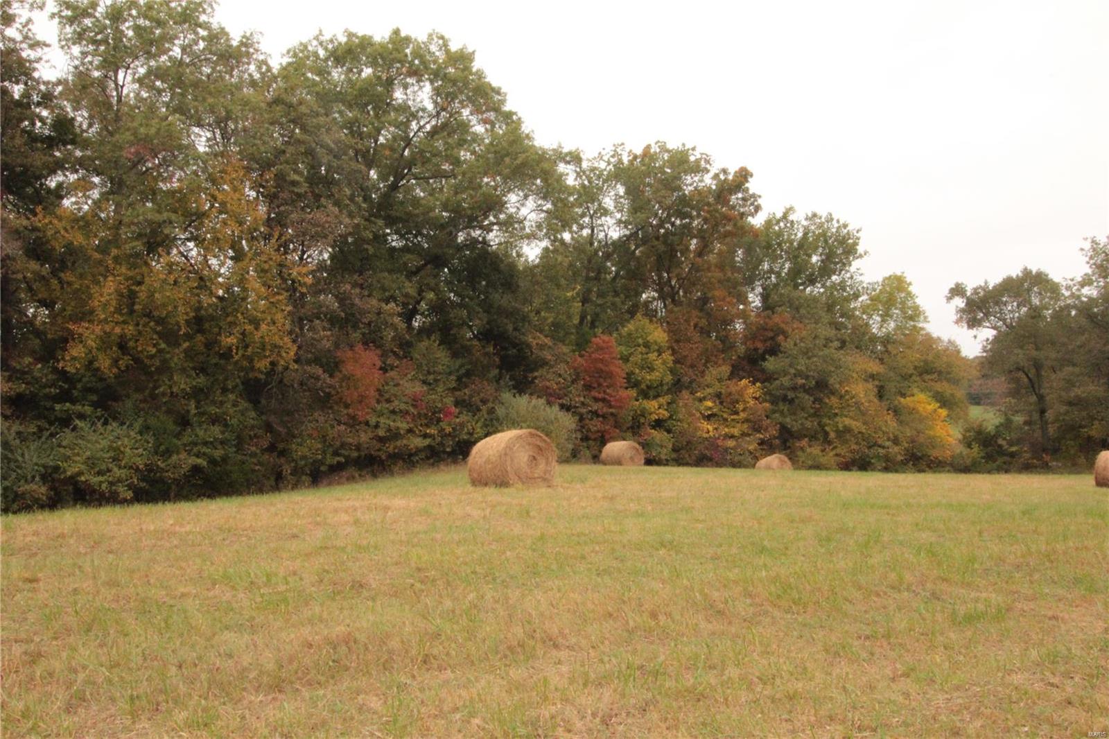 0 Paulton Road Pittsburg, IL 62974 - Photo 12 of 17 Gallery Image 12