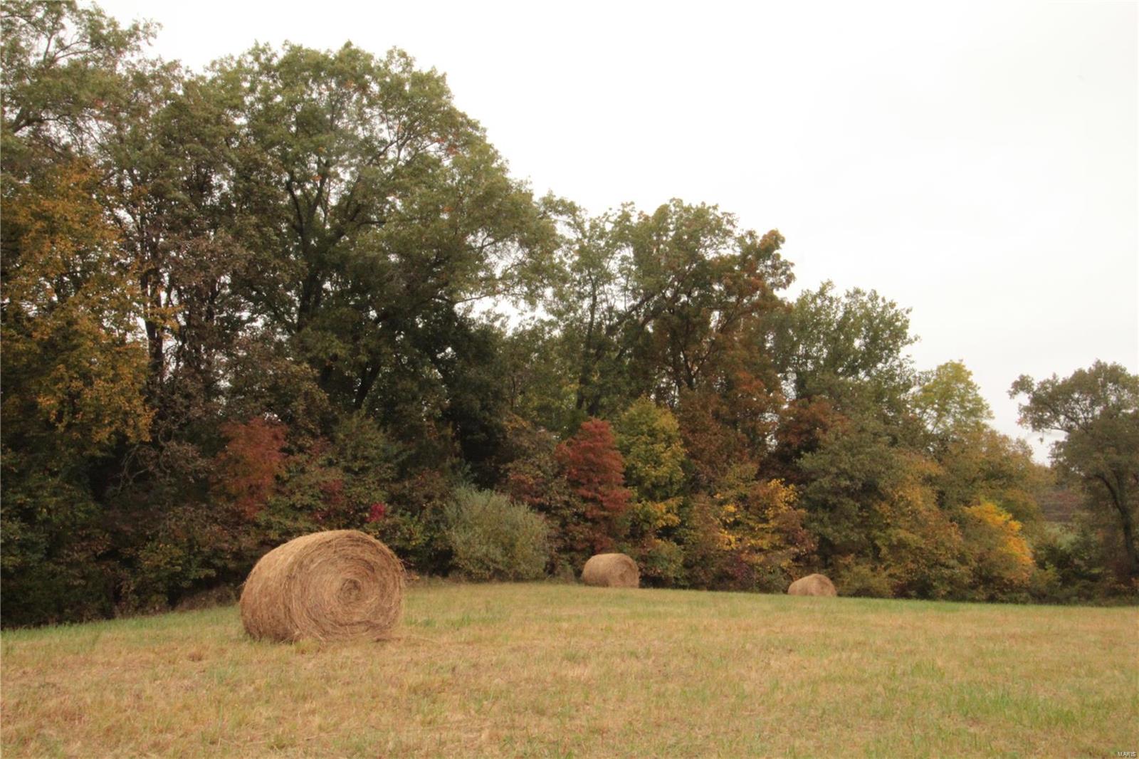 0 Paulton Road Pittsburg, IL 62974 - Photo 13 of 17 Gallery Image 13