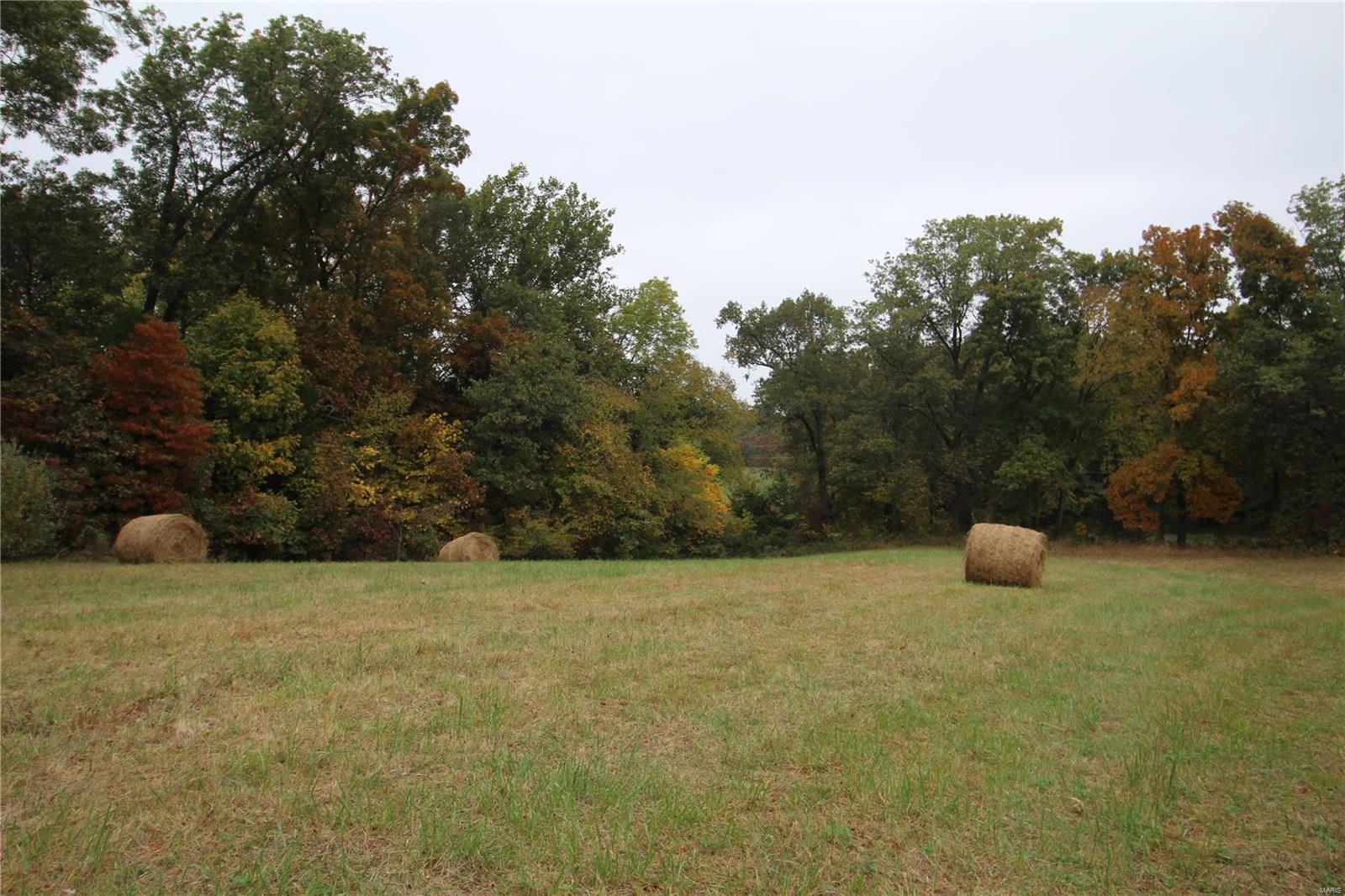 0 Paulton Road Pittsburg, IL 62974 - Photo 14 of 17 Gallery Image 14