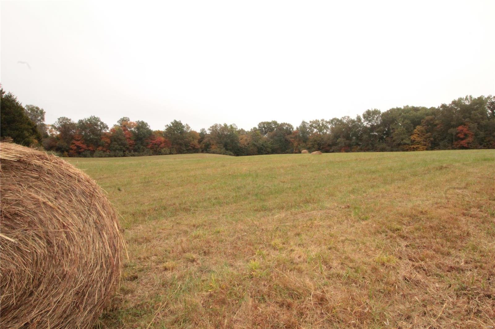 0 Paulton Road Pittsburg, IL 62974 - Photo 9 of 17 Gallery Image 9