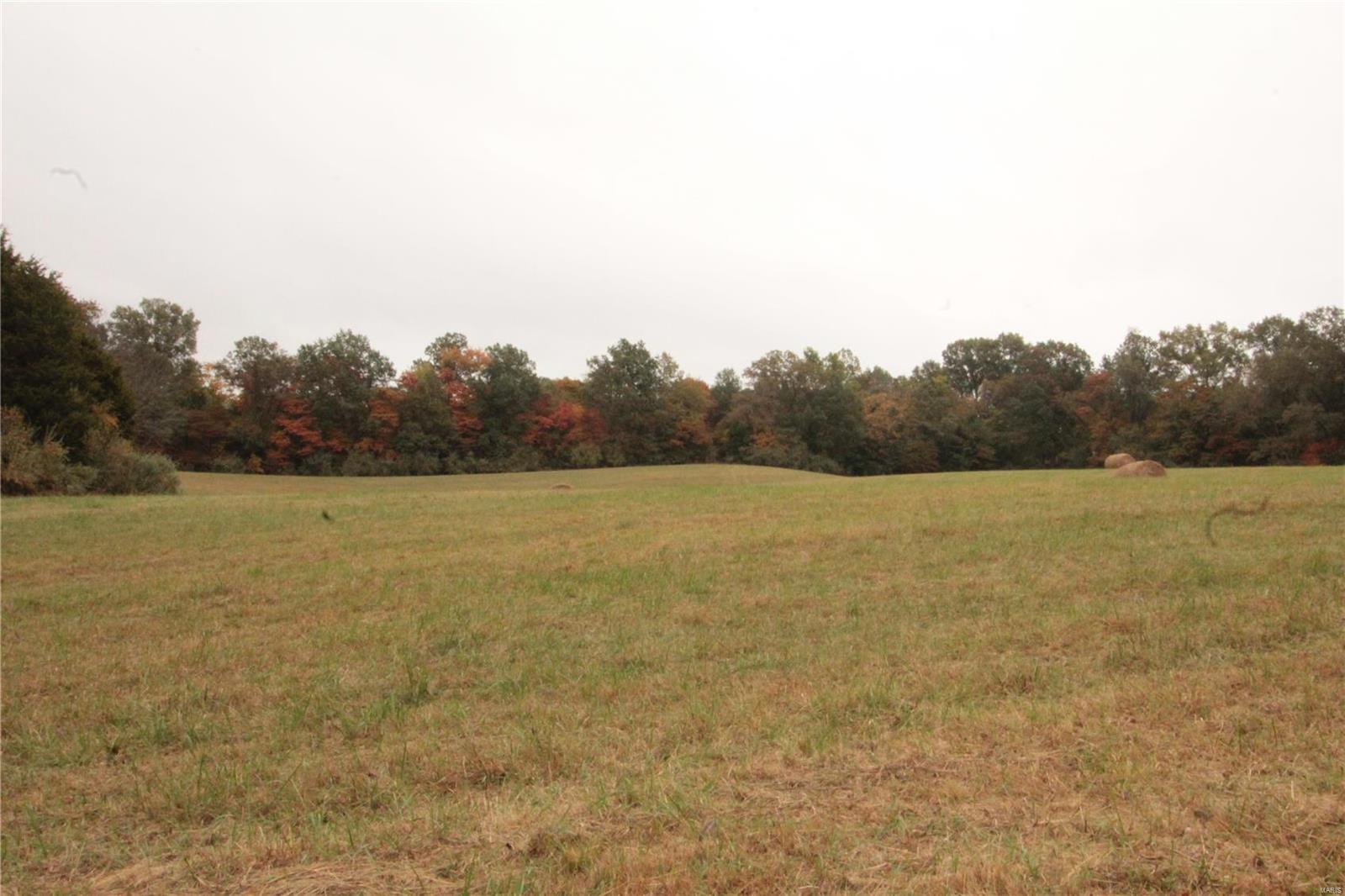 0 Paulton Road Pittsburg, IL 62974 - Photo 10 of 17 Gallery Image 10