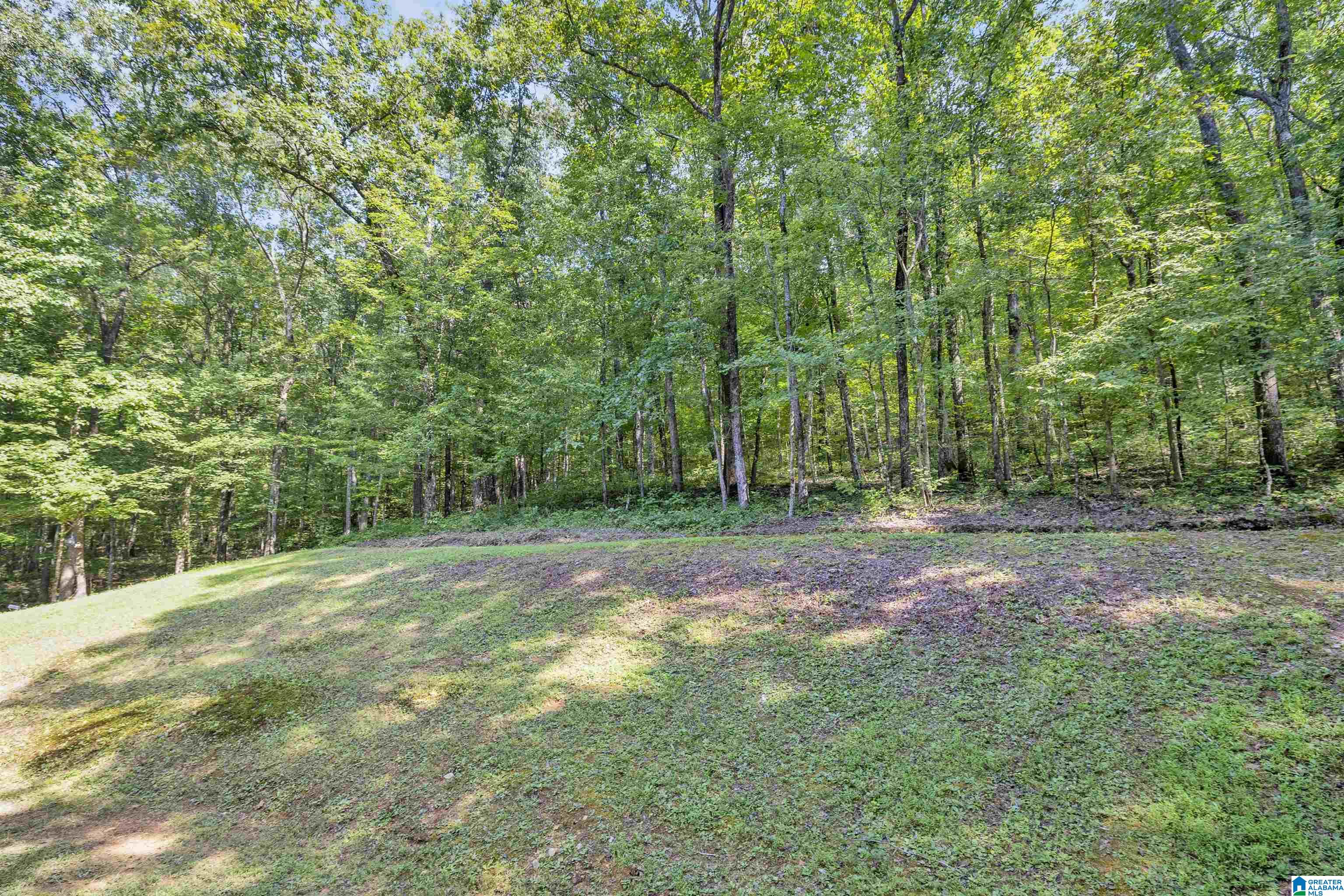 445 Berrington Lane Springville, AL 35146 - Photo 44 of 55 Gallery Image 44
