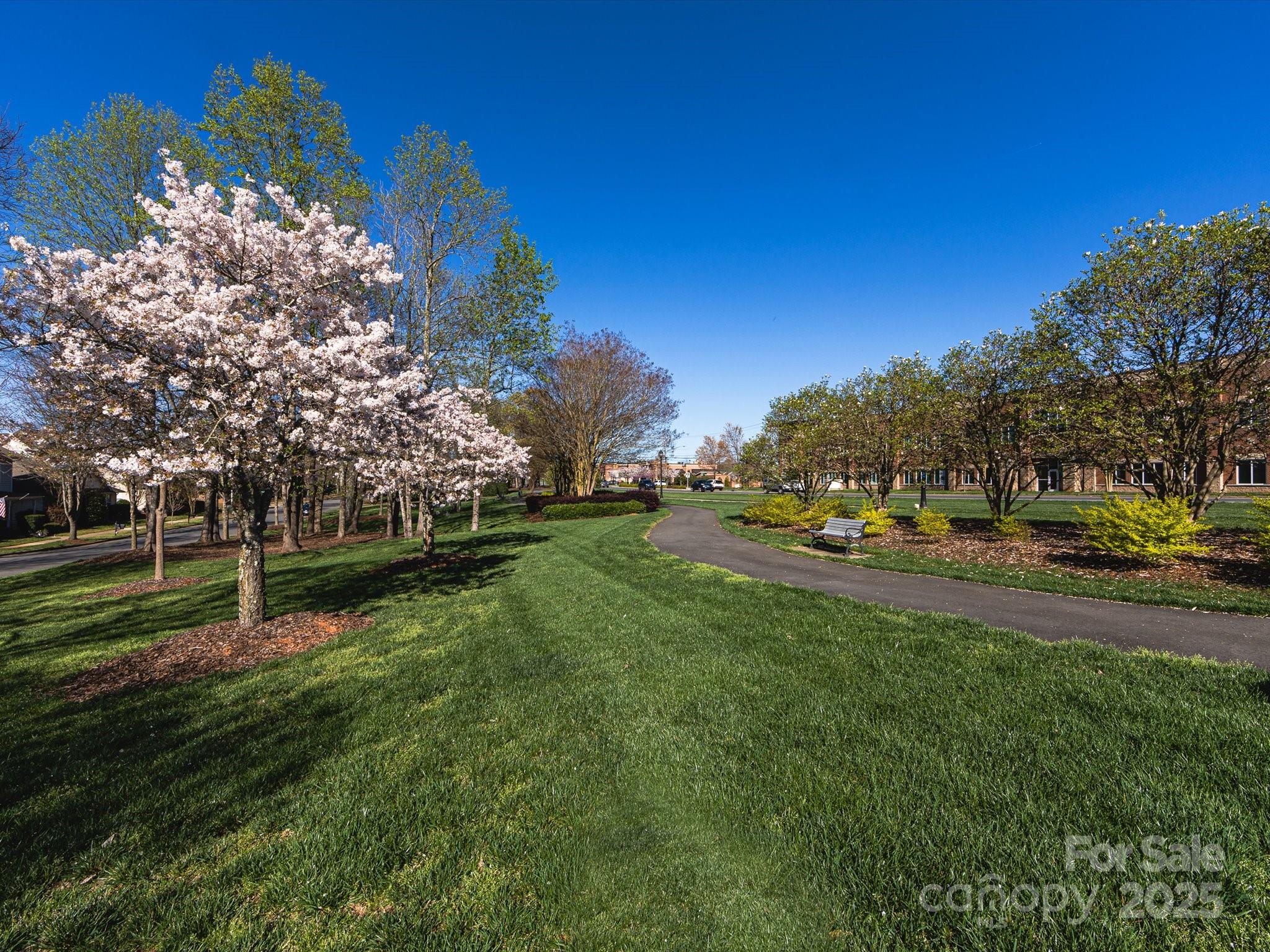 4434 Patriots Hill Road Mint Hill, NC 28227 - Photo 29 of 31 a view of a park with lots of trees and plants