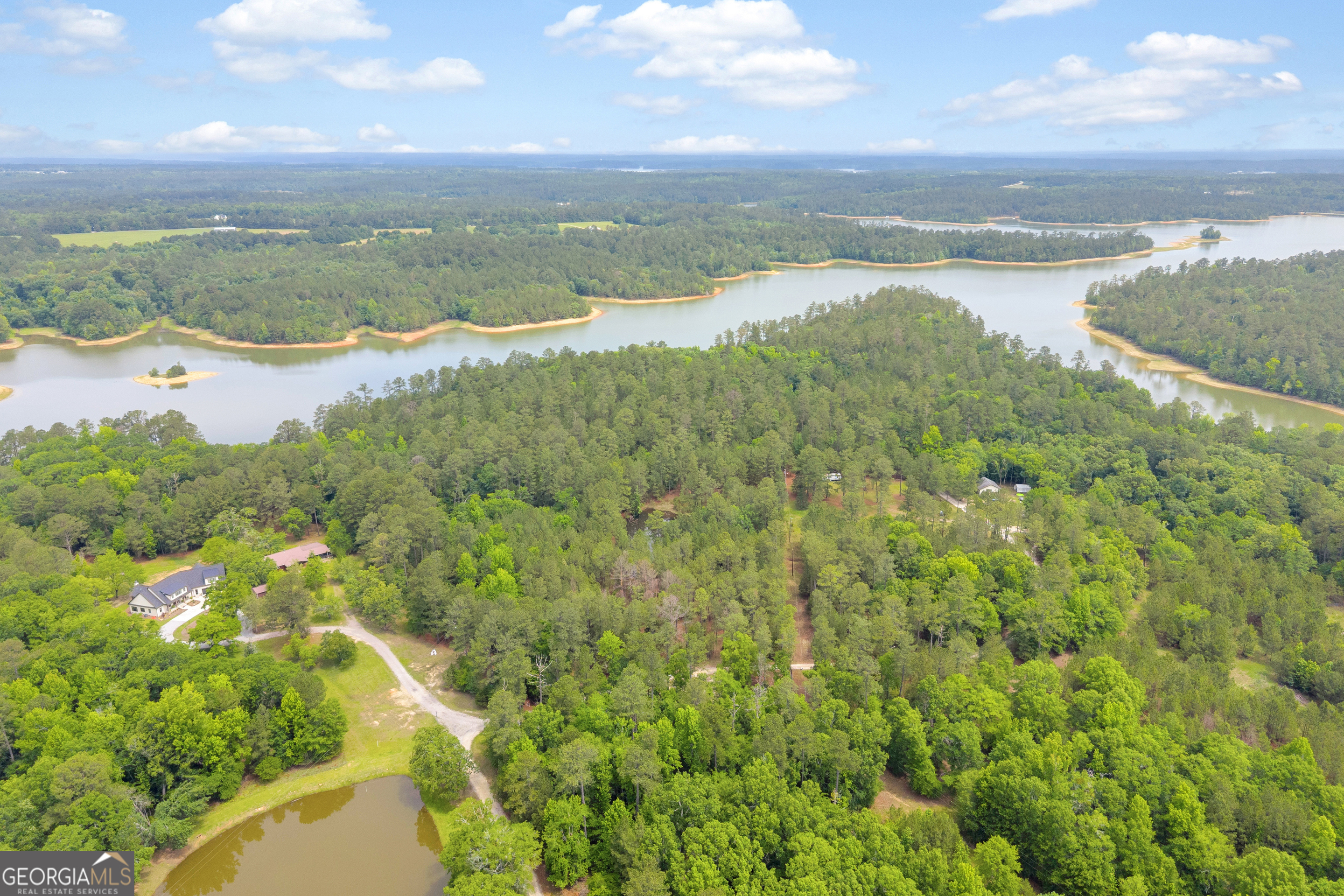 0 Clary Road Lincolnton, GA 30817 - Photo 4 of 16