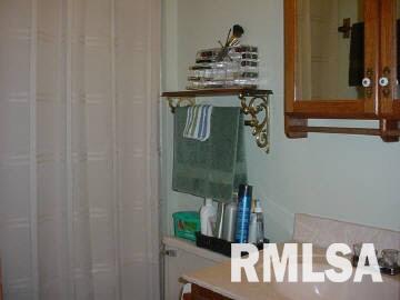 781 Paul Ice Road Murphysboro, IL 62966 - Photo 6 of 12