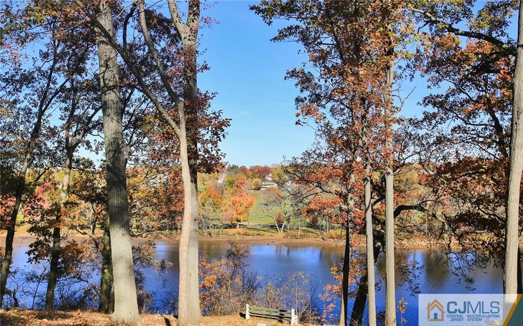 4 Carpender Road New Brunswick, NJ 08901 - Photo 21 of 21 a view of a city with tall tree