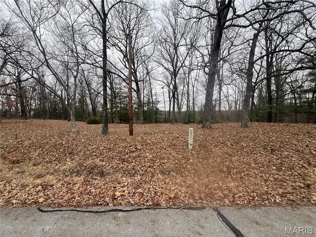 $25,000 | 0 Cherokee Drive, Perryville, MO 63775