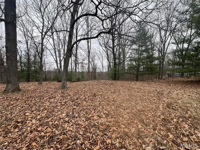 $25,000 | 0 Cherokee Drive, Perryville, MO 63775