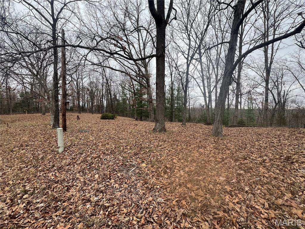 0 Cherokee Drive Perryville, MO 63775 - Photo 4 of 10