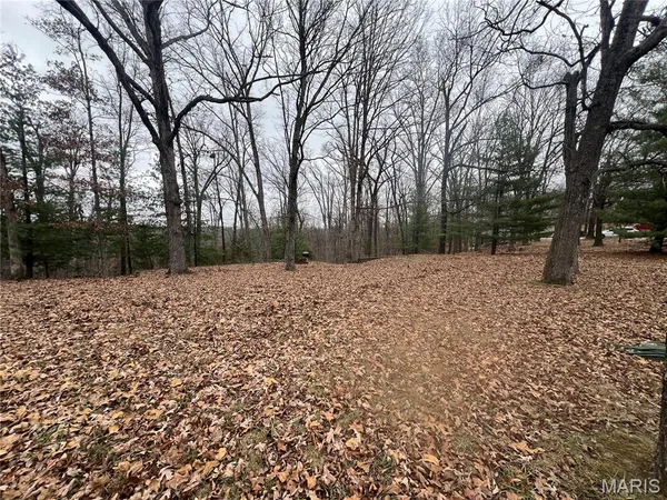 $25,000 | 0 Cherokee Drive, Perryville, MO 63775