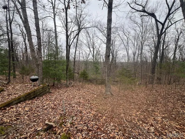 $25,000 | 0 Cherokee Drive, Perryville, MO 63775