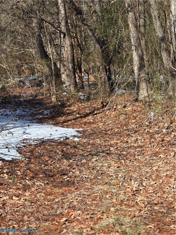 13-128a Deep Creek Road Lancaster, VA 22503 - Photo 6 of 6