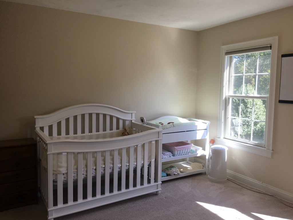 55 Woodpecker Road Stoughton, MA 02072 - Photo 19 of 25 Gallery Image 19