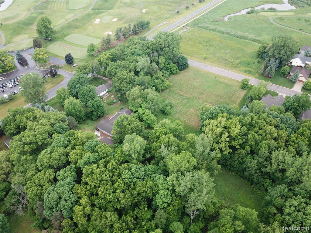 0 Chandler Road Bath, MI 48808 - Photo 9 of 12