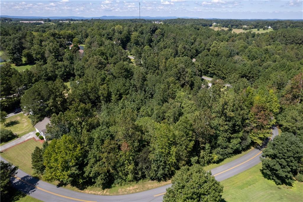 0 Buck Boulevard Southeast Calhoun, GA 30701 - Photo 3 of 6