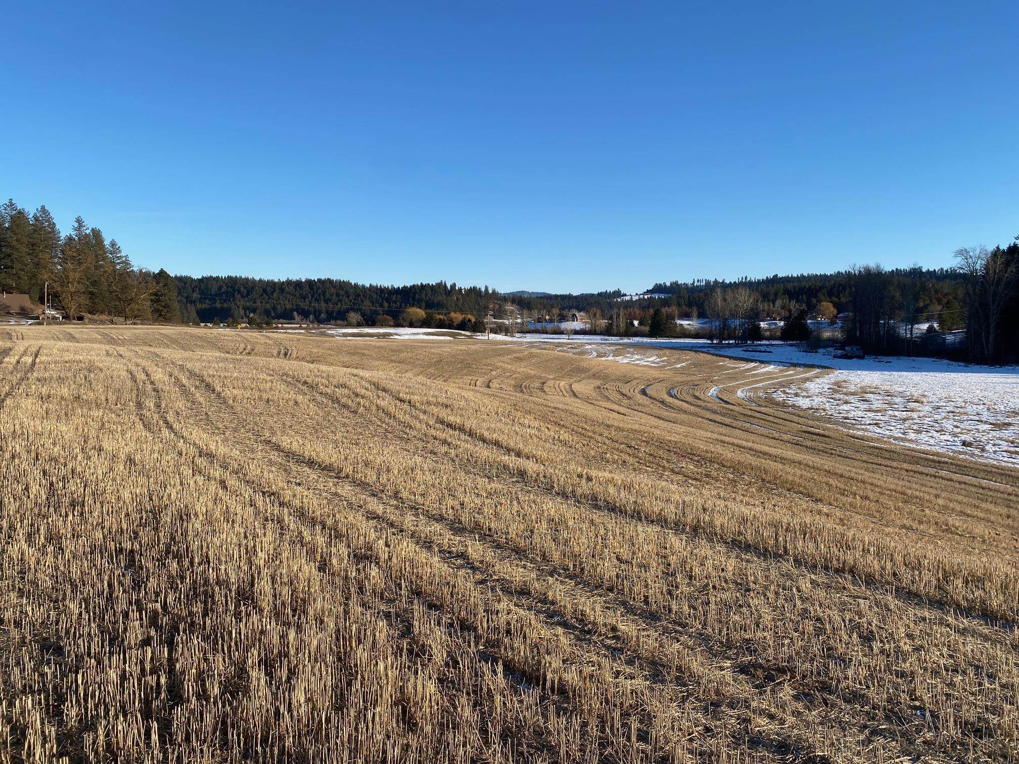 8984 East Little Deep Creek Road Colbert, WA 99005 - Photo 1 of 16