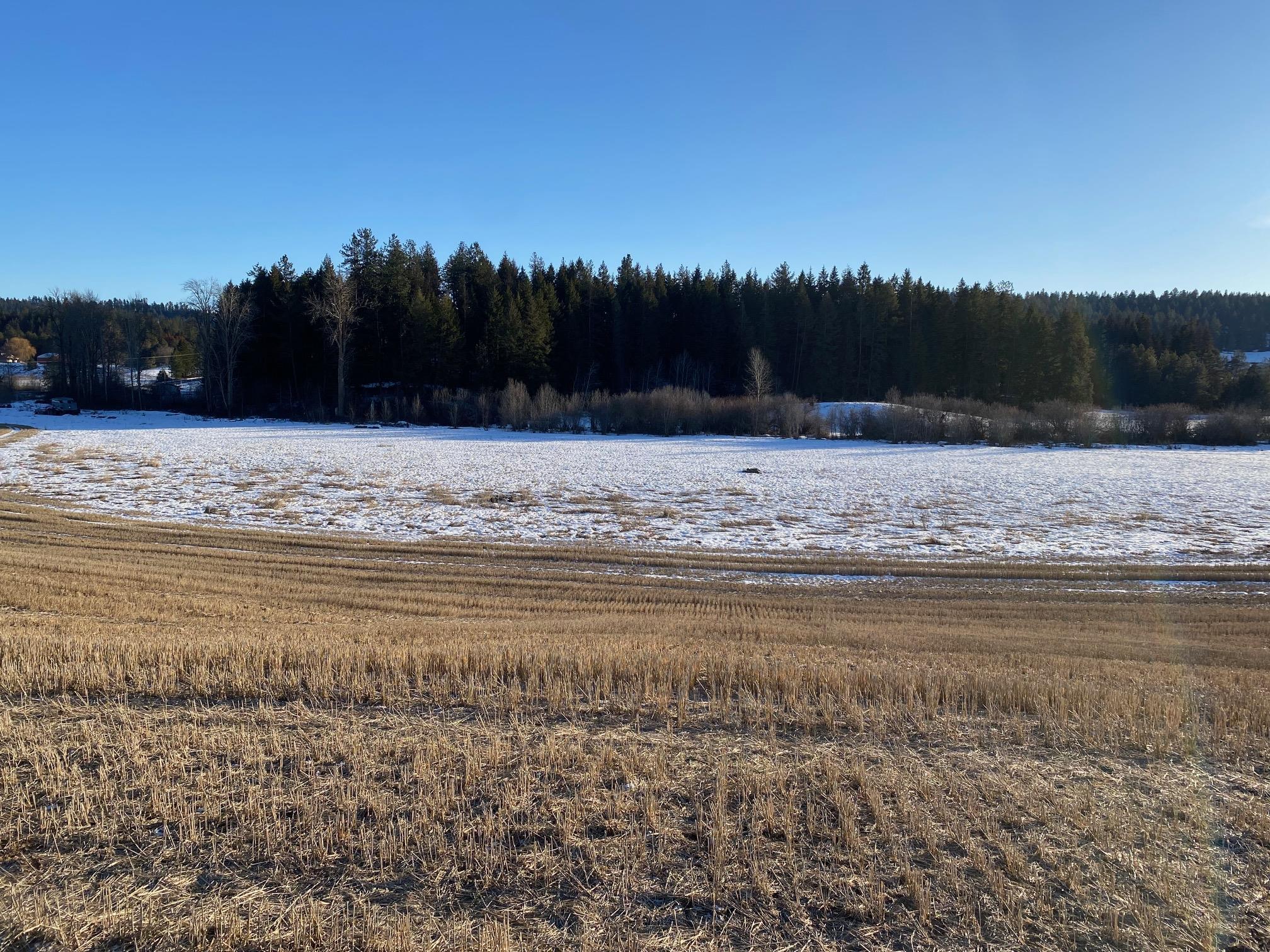8984 East Little Deep Creek Road Colbert, WA 99005 - Photo 2 of 16