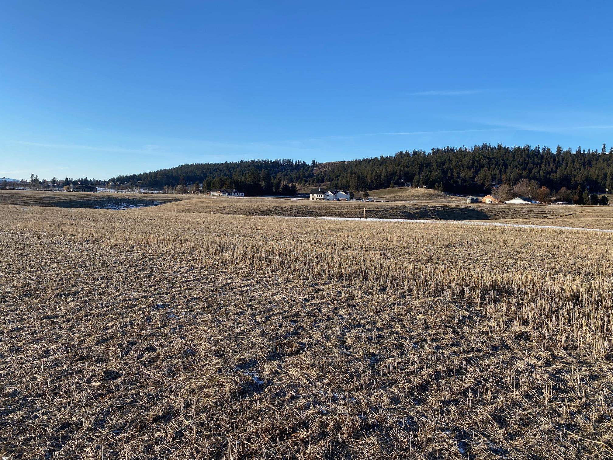 8984 East Little Deep Creek Road Colbert, WA 99005 - Photo 5 of 16