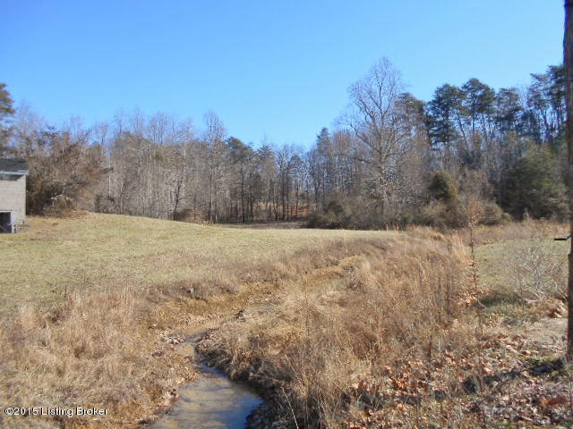 3200 Patton Road Boston, KY 40107 - Photo 18 of 36 Nice creek