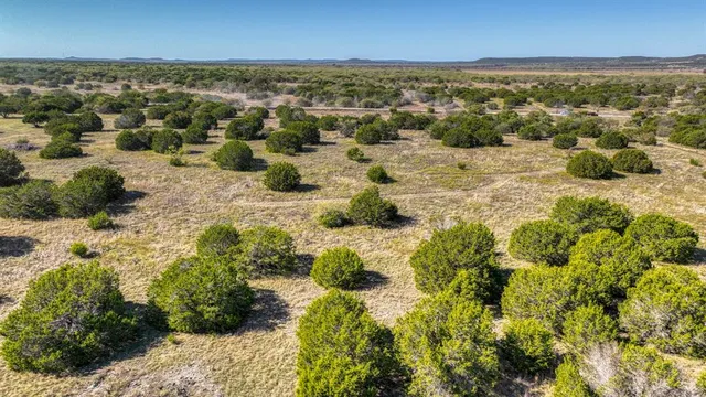 $290,000 | 13 A Mountain Drive, Graford, TX 76449