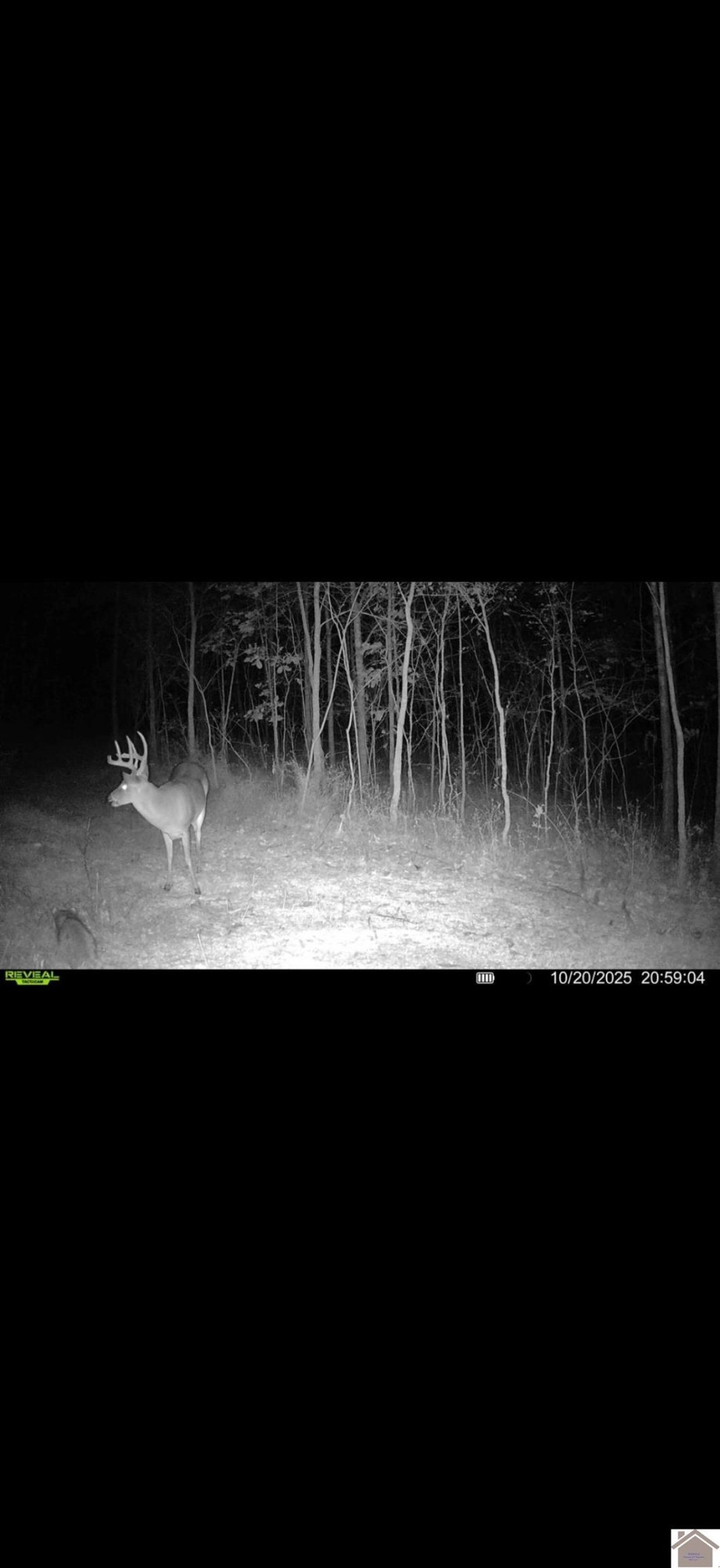 5770 Contest Road Paducah, KY 42001 - Photo 11 of 11 Photo 11