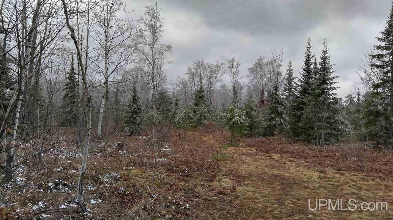 73-acres Co Rd 480 Marquette, MI 49855 - Photo 8 of 18