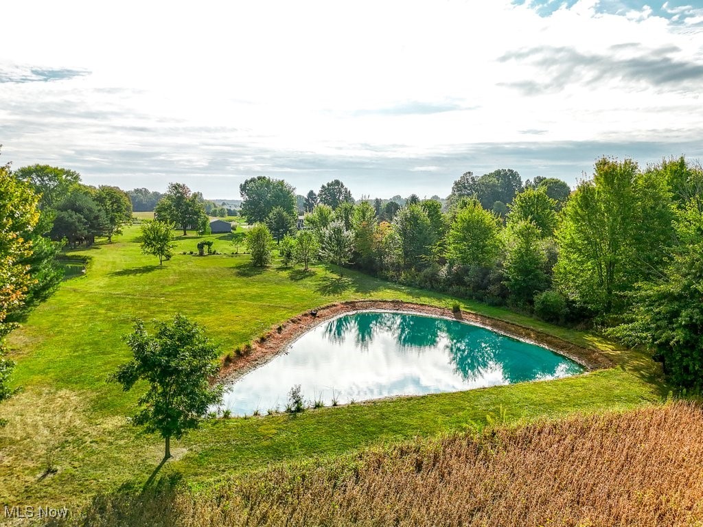 461 New Milford Road Atwater, OH 44201 - Photo 5 of 31 View of pond, full of fish, at the back of the property