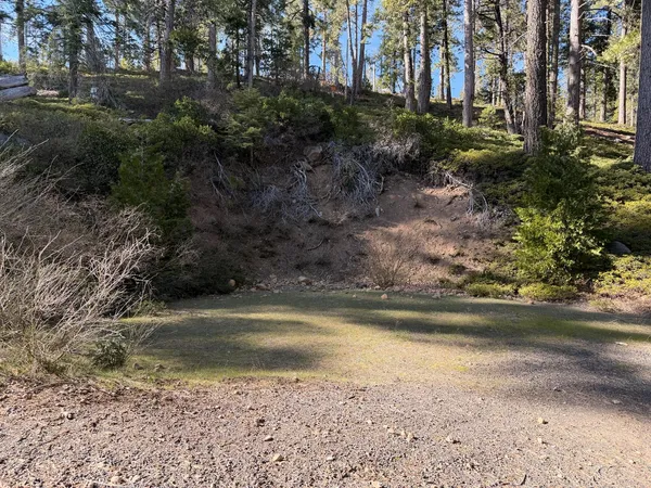 $80,000 | 26150 Highway 108, Long Barn, CA 95335