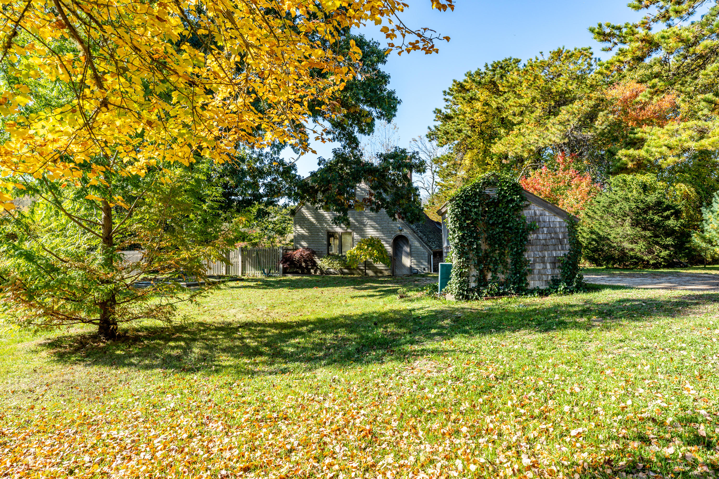 80 Peace Valley Road Wellfleet, MA 02667 - Photo 6 of 52 a view of a yard with a tree