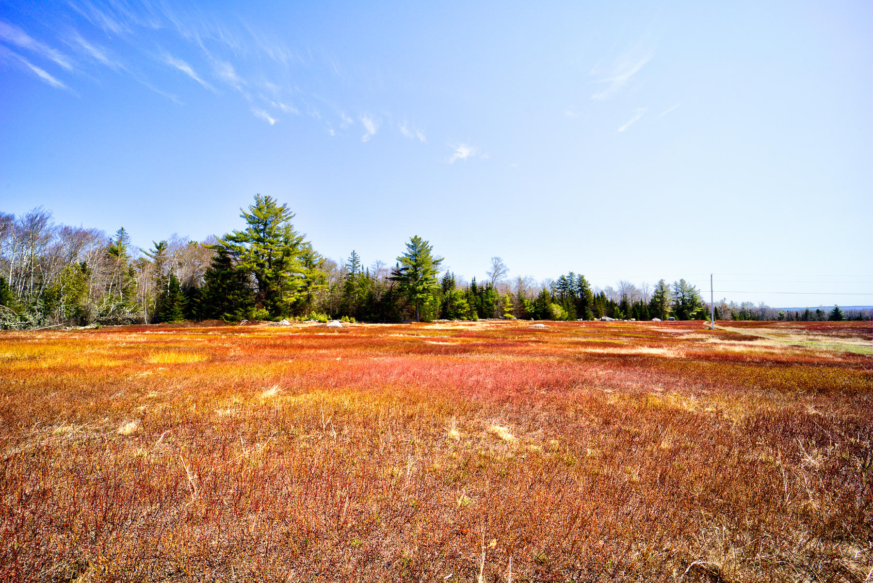Lot 27 Leach Road Penobscot, ME 04476 - Photo 2 of 16 5