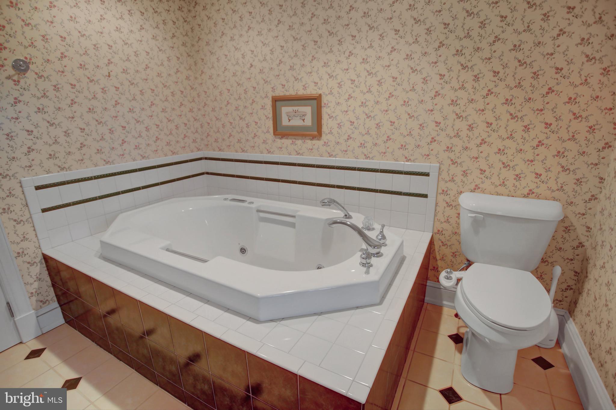 550 Kohler Road Chambersburg, PA 17202 - Photo 23 of 55 Whirlpool tub
