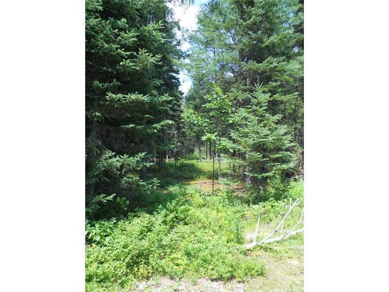 10 Cartullo Road Stratton, ME 04982 - Photo 9 of 14 Land.