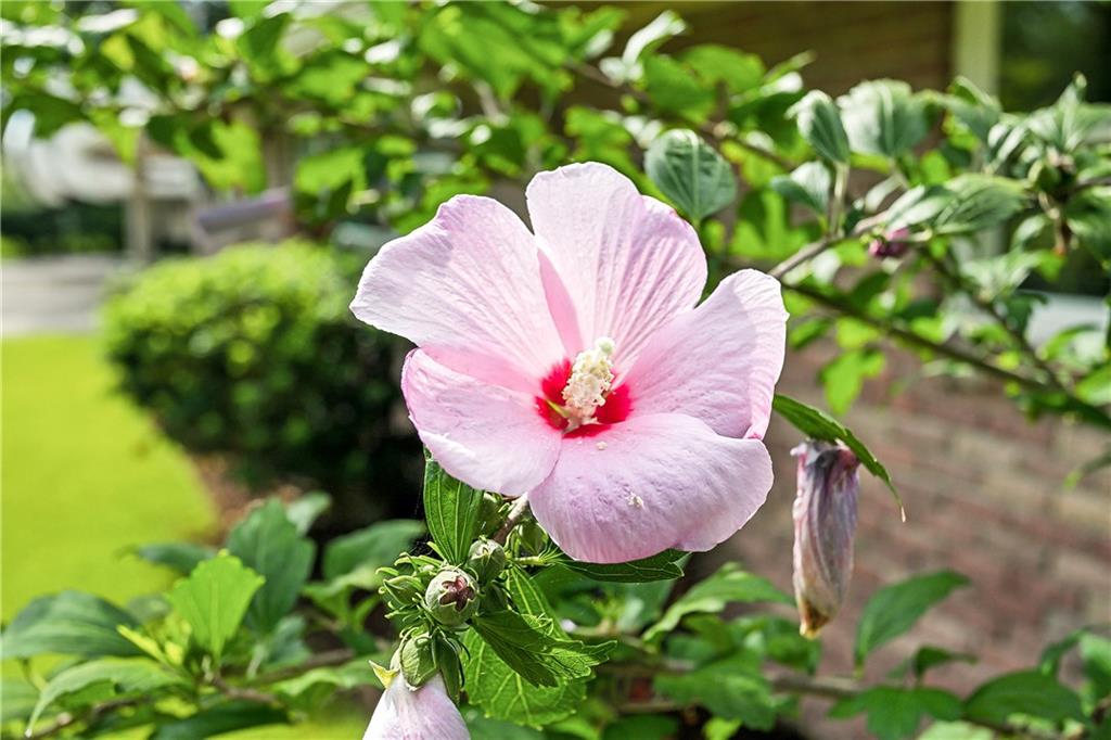 1410 Tenth Street Slidell, LA 70458 - Photo 38 of 38