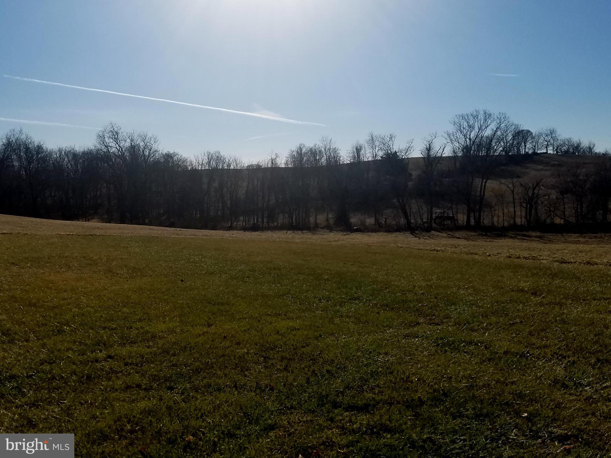15464 Limestone School Road Leesburg, VA 20176 - Photo 7 of 9 View