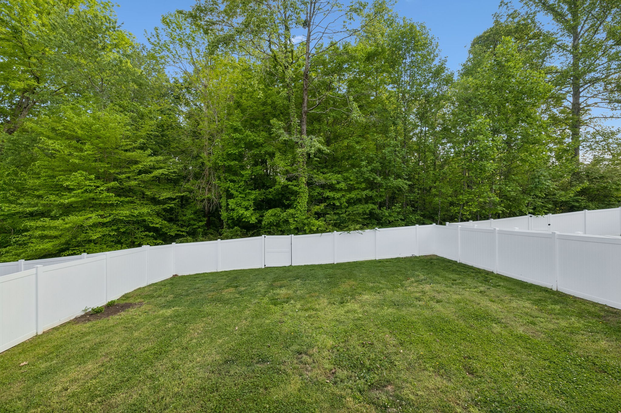 1004 Sycamore Ridge East Burns, TN 37029 - Photo 10 of 59