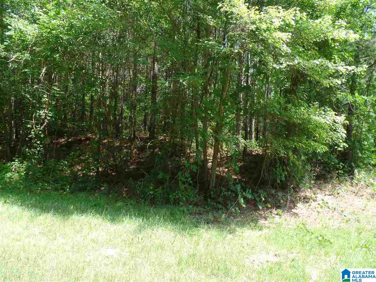 457 County Road, Unit 5 Heflin, AL 36264 - Photo 6 of 20