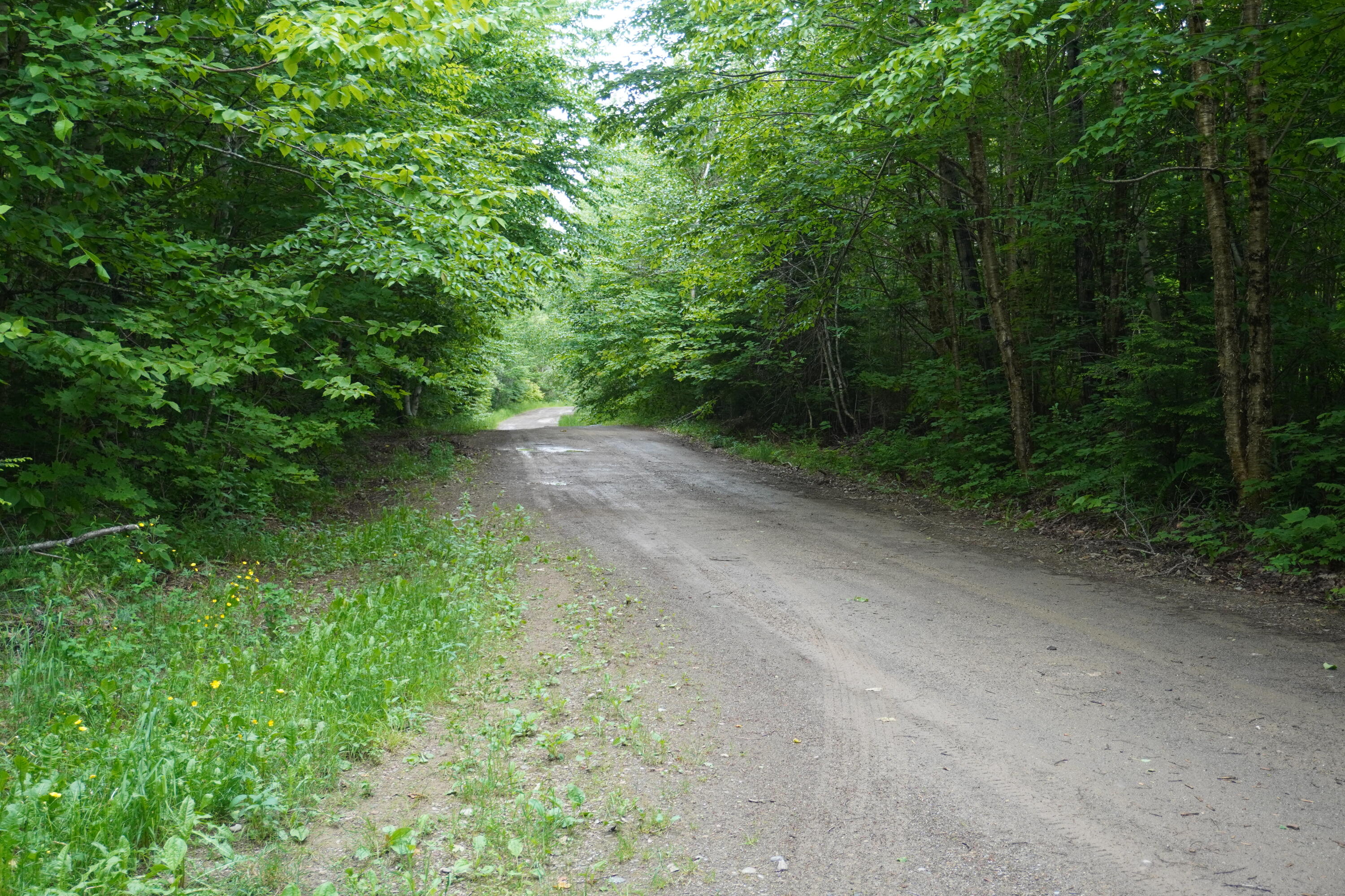 Lot 25 Aurora Road Springfield, ME 04487 - Photo 4 of 6 Aurora Rd