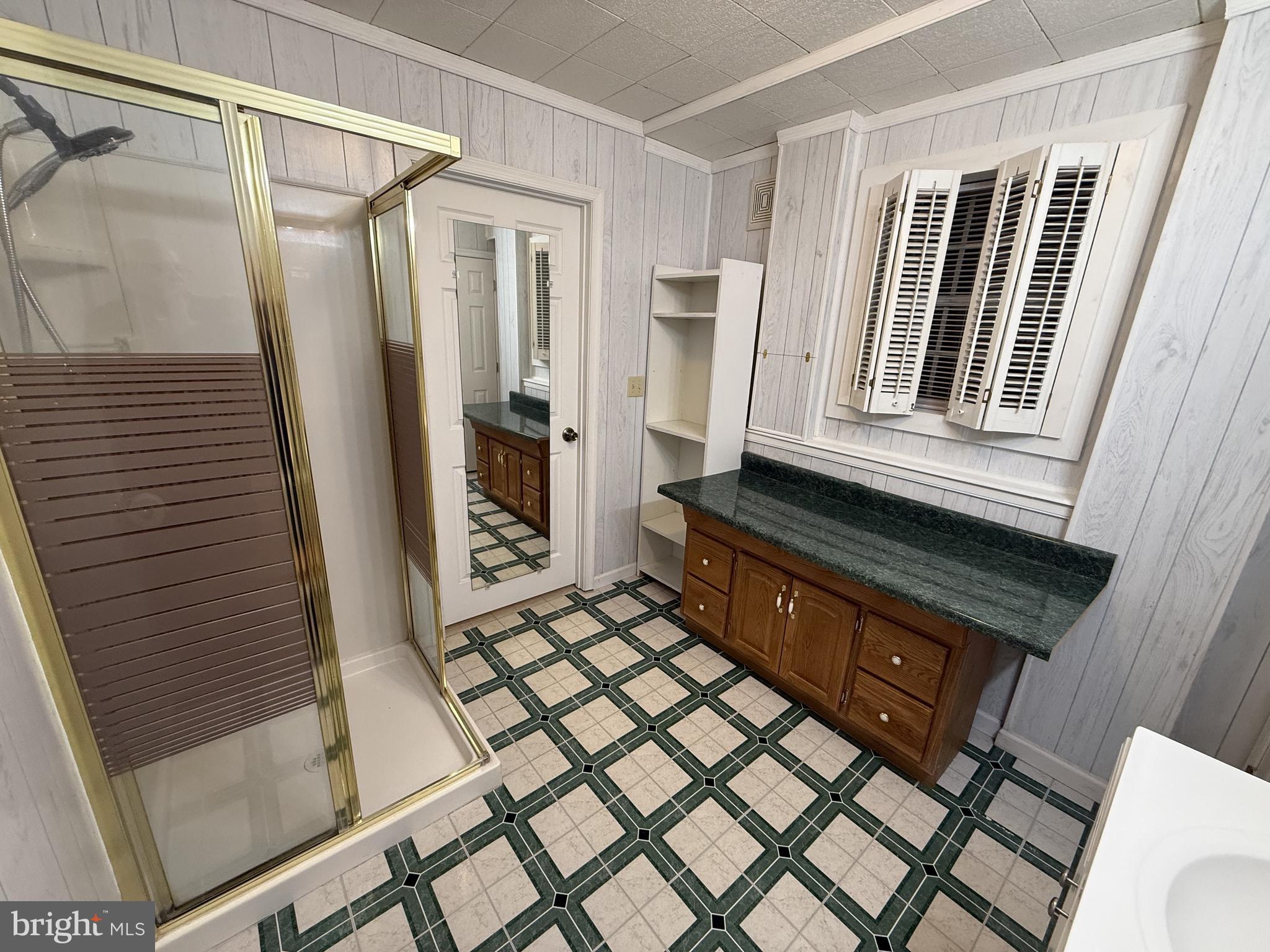 21 Coolidge Road Inwood, WV 25428 - Photo 75 of 80 Lower-Level 3/4 Bath