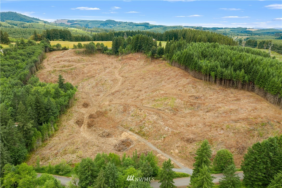 0 Jones Road, Unit RD Winlock, WA 98596 - Photo 1 of 32