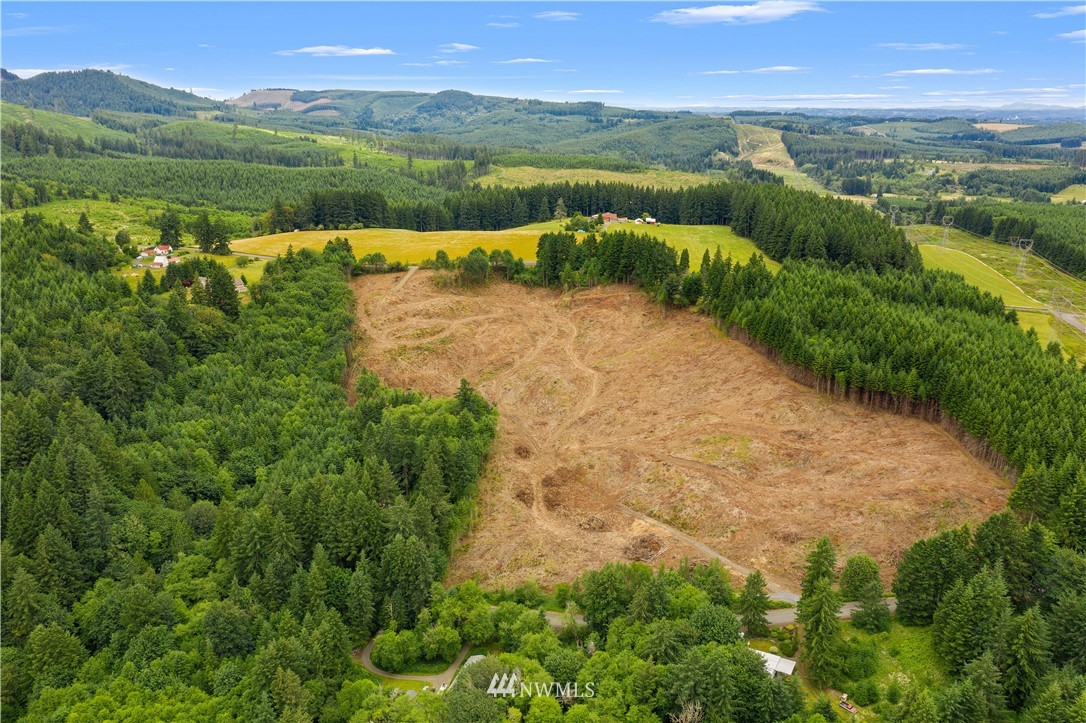 0 Jones Road, Unit RD Winlock, WA 98596 - Photo 4 of 32