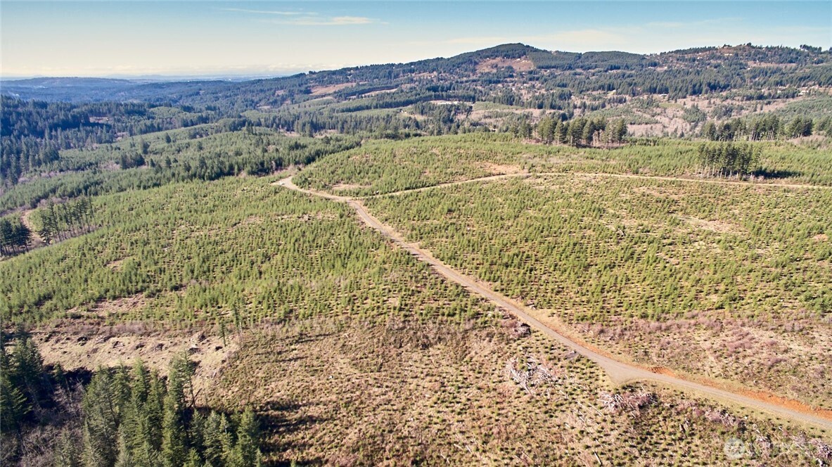 4 Northeast Jones Creek Road Camas, WA 98607 - Photo 15 of 29 a view of city and mountain