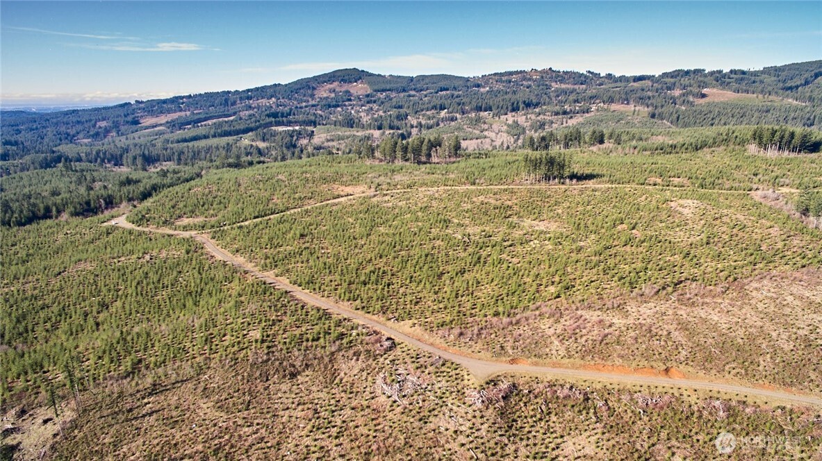 4 Northeast Jones Creek Road Camas, WA 98607 - Photo 16 of 29 a view of a field with an ocean