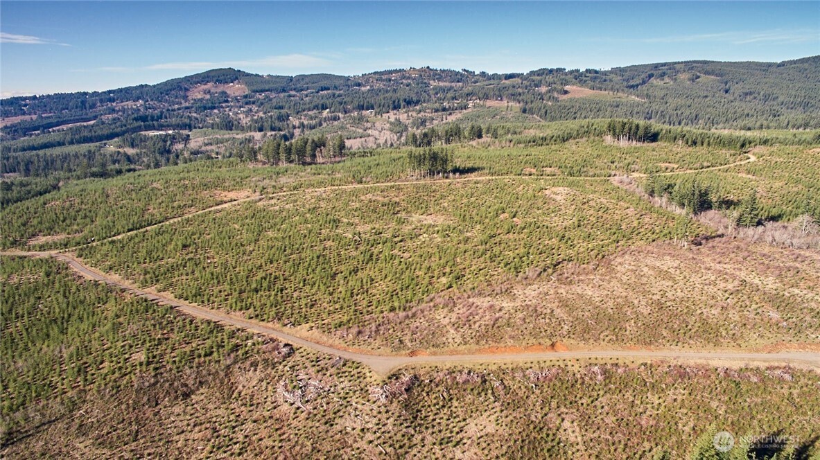 4 Northeast Jones Creek Road Camas, WA 98607 - Photo 17 of 29 a view of ocean and mountain