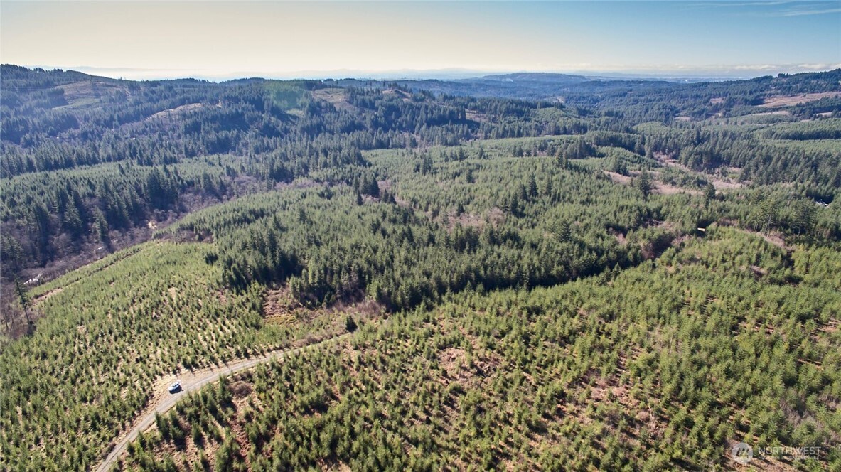 4 Northeast Jones Creek Road Camas, WA 98607 - Photo 20 of 29 an aerial view of residential house and green space
