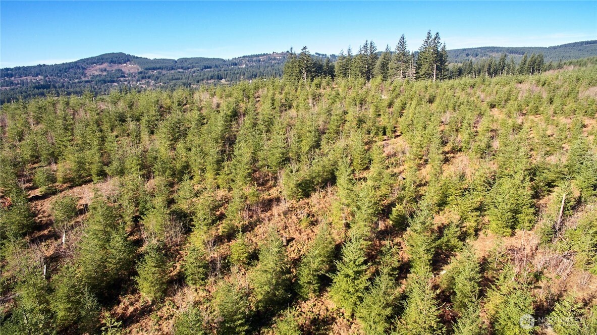 4 Northeast Jones Creek Road Camas, WA 98607 - Photo 24 of 29 a view of a bunch of trees