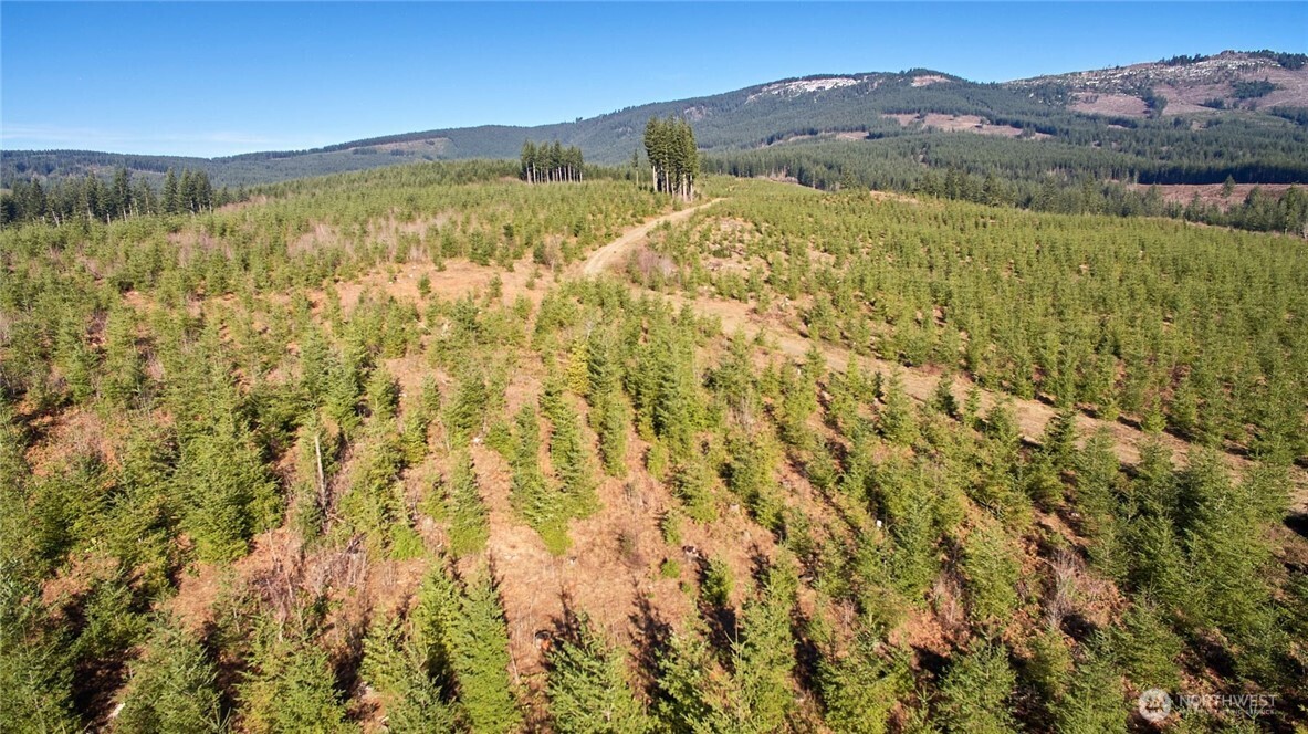 4 Northeast Jones Creek Road Camas, WA 98607 - Photo 25 of 29 a view of an mountain